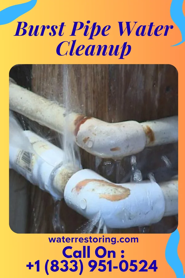 Burst Pipe Water Cleanup in Durant, IA