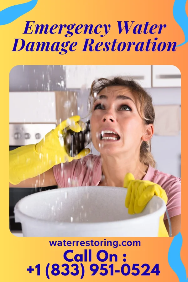 Emergency Water Damage Restoration in Durant, IA