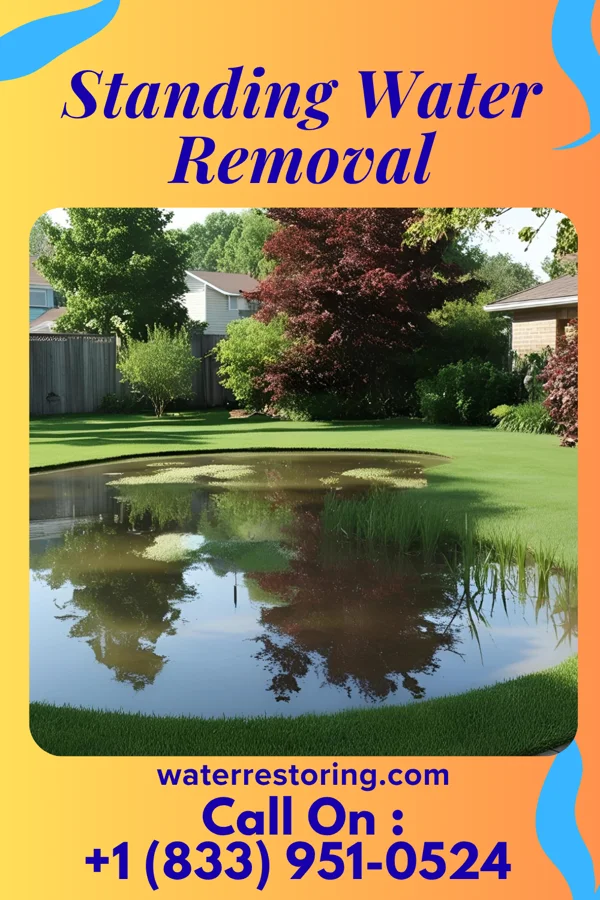 Standing Water Removal in Durant, IA